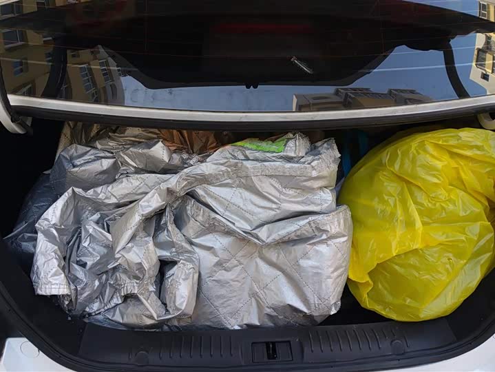 Фото 4 - Geely Vision