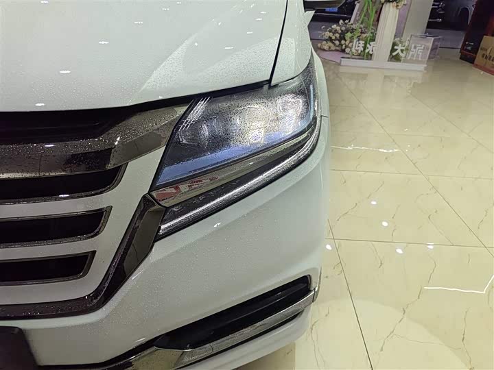 Фото 9 - Honda Elysion