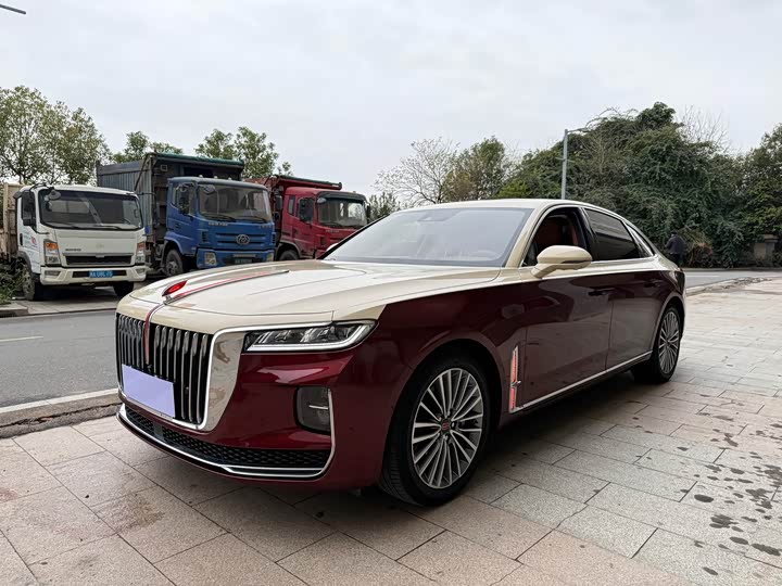 Фото 1 - Hongqi H9