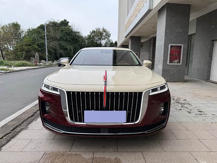 Фото 2 - Hongqi H9