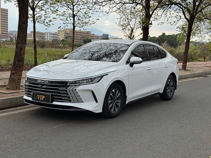 Photo 1 - BYD Destroyer 05