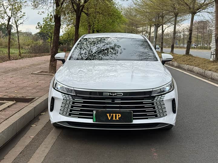 Photo 2 - BYD Destroyer 05