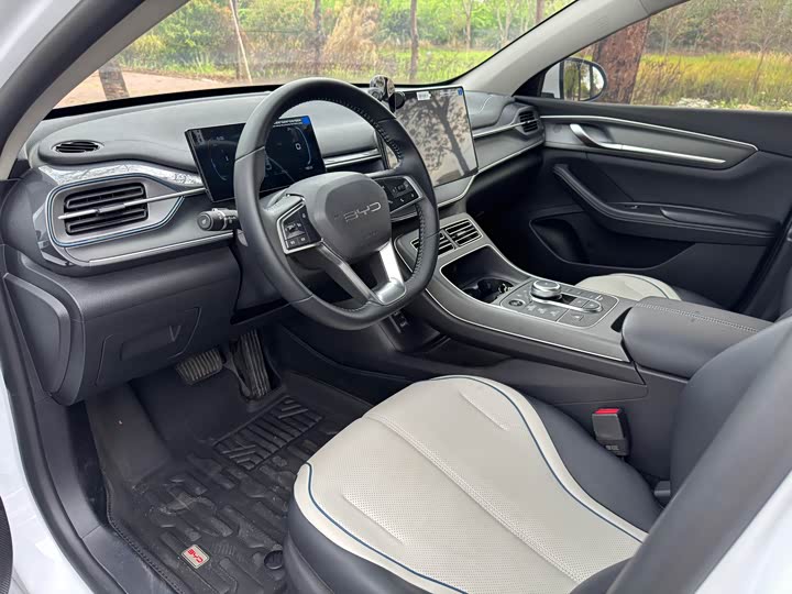 Photo 5 - BYD Destroyer 05