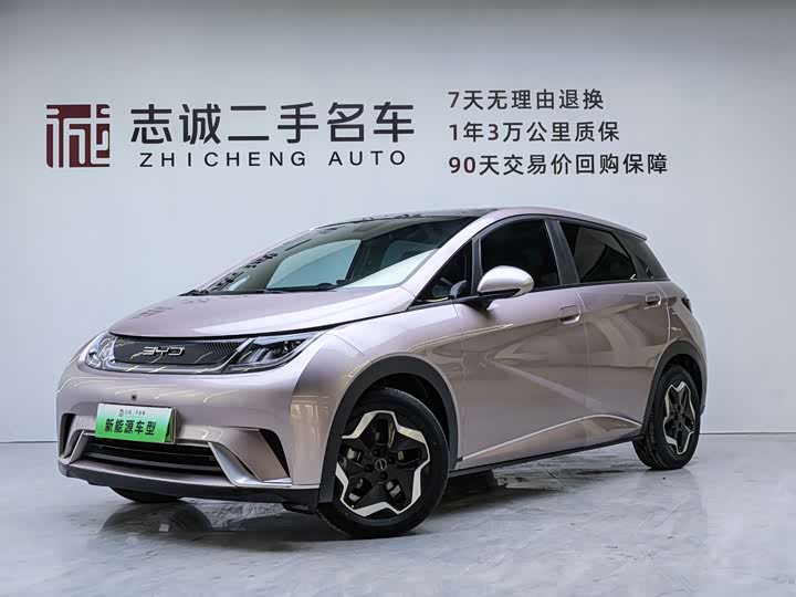 Фото 1 - BYD Dolphin