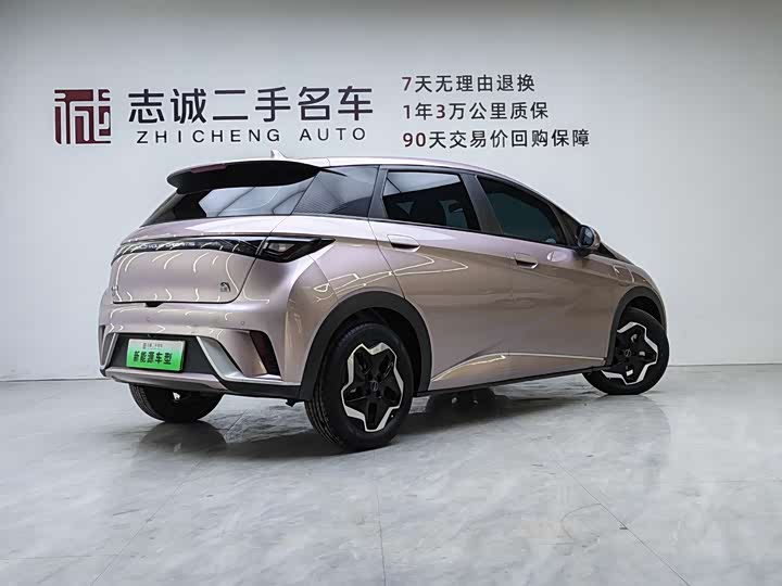 Фото 4 - BYD Dolphin