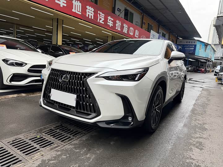 Фото 1 - Lexus NX