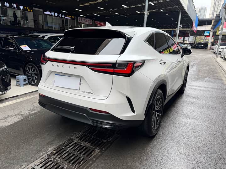 Фото 7 - Lexus NX