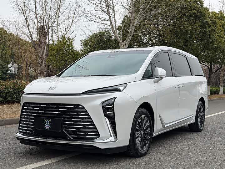 Фото 1 - Buick GL8 ES