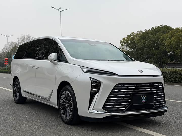 Фото 3 - Buick GL8 ES