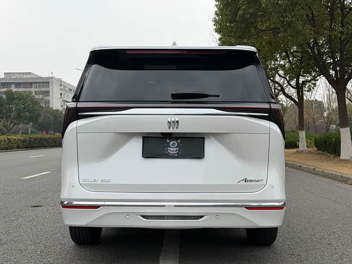 Фото 5 - Buick GL8 ES