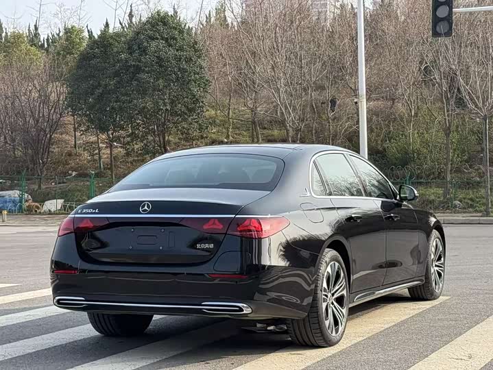 Фото 7 - Mercedes-Benz E-Class Hybrid