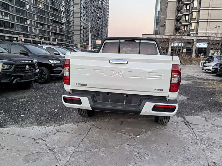 Фото 6 - Maxus T60