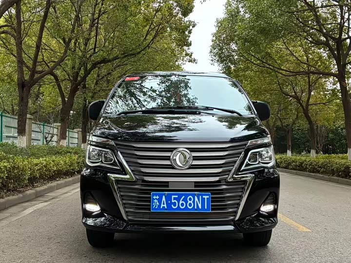 Фото 2 - Dongfeng Forthing Lingzhi M5