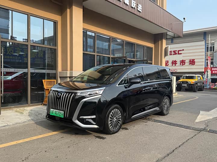 Фото 1 - Denza D9