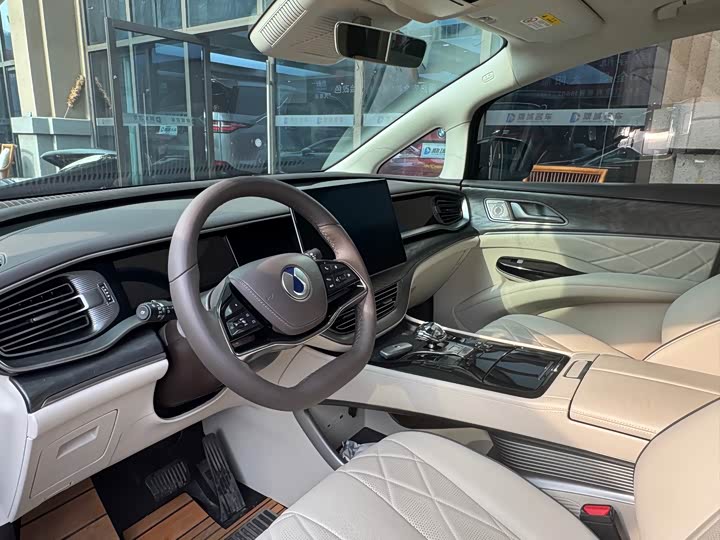 Фото 4 - Denza D9