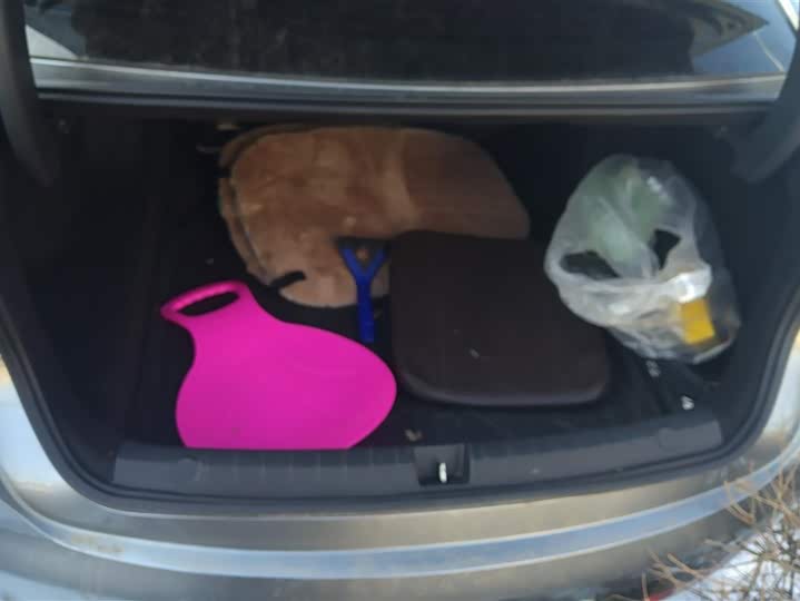 Фото 4 - BYD Destroyer 05