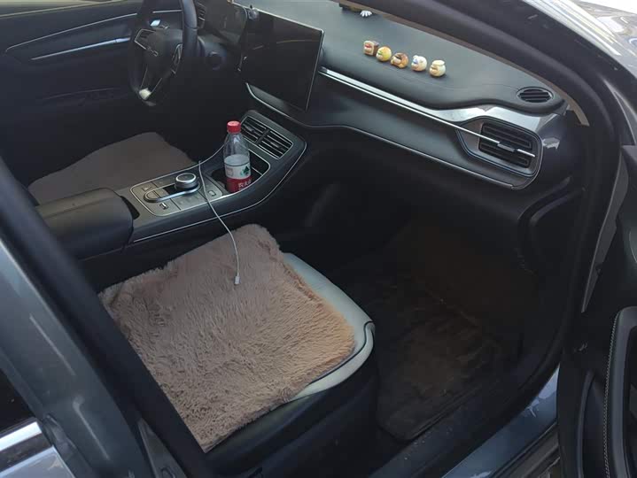 Фото 8 - BYD Destroyer 05