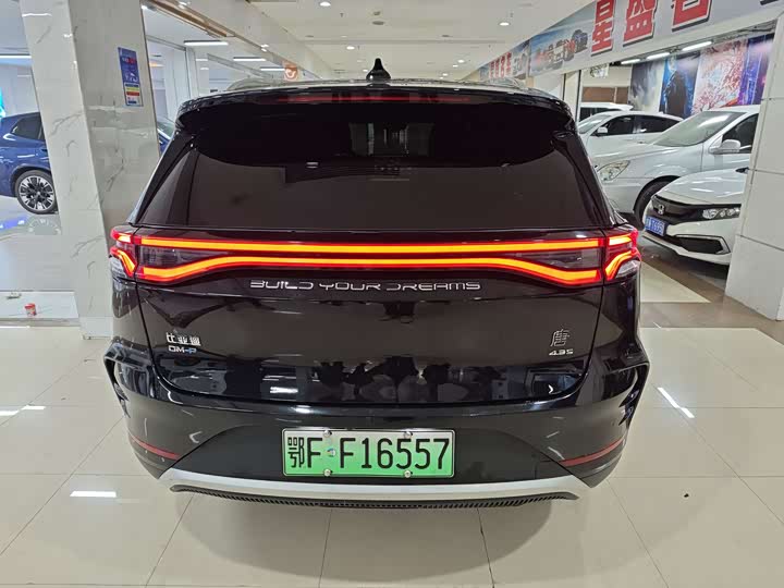 Фото 8 - BYD Tang Hybrid/EV
