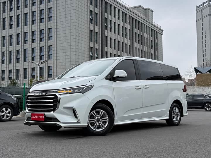 Фото 1 - Maxus G20