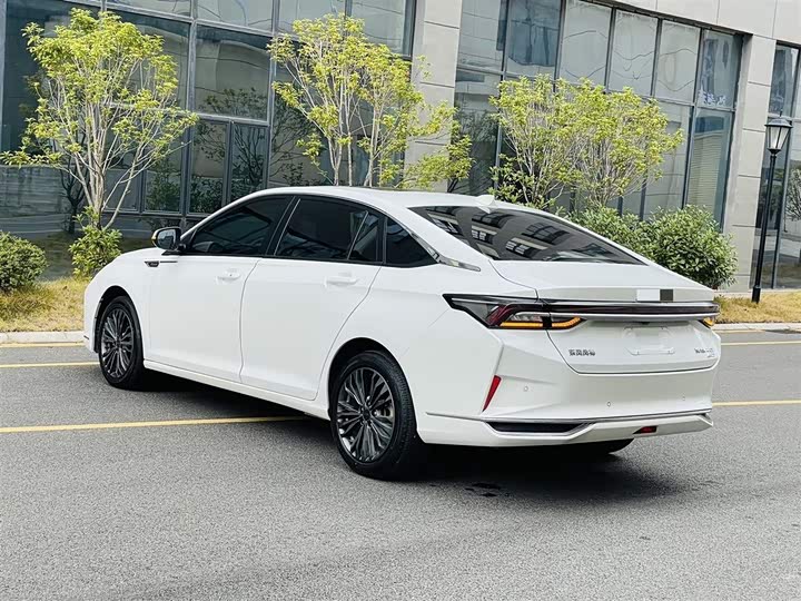 Фото 9 - Dongfeng Aeolus Yixuan Max