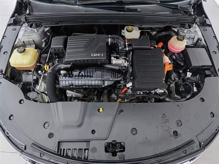 Фото 6 - BYD Destroyer 05