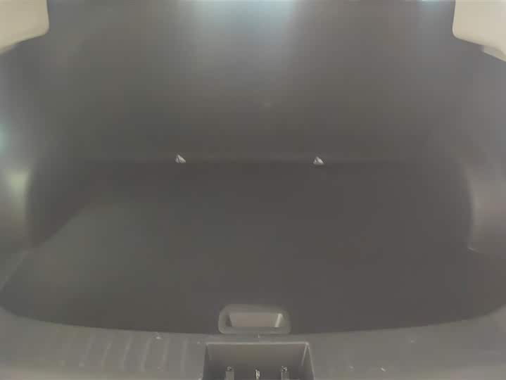 Фото 4 - Hozon V