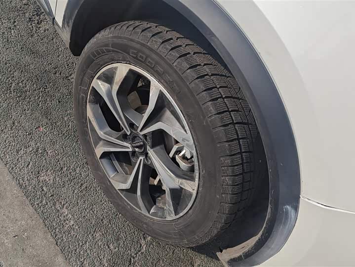 Photo 6 - Haval Ruge Max