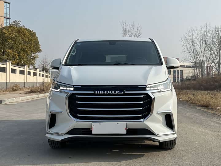 Фото 2 - Maxus G20