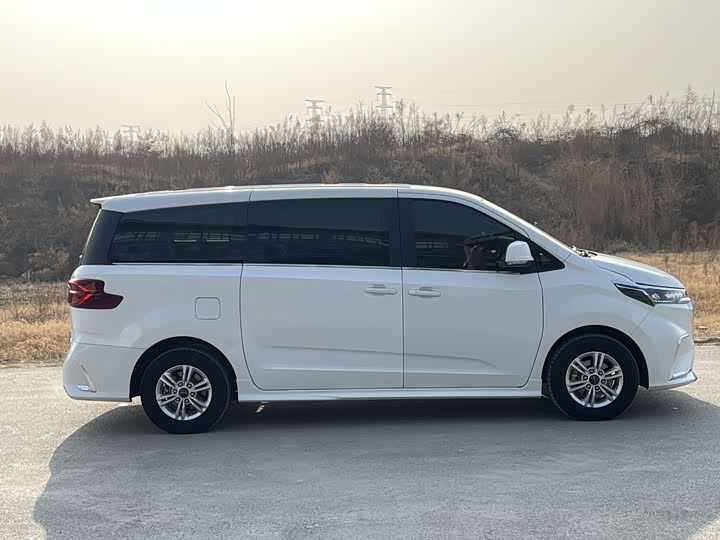 Фото 5 - Maxus G20