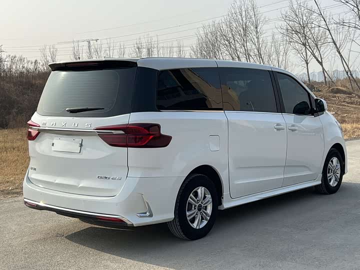 Фото 7 - Maxus G20