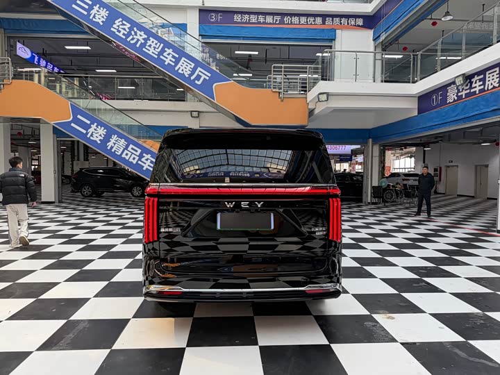 Фото 5 - Wey Gaoshan