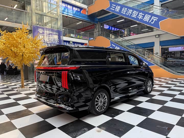 Фото 6 - Wey Gaoshan