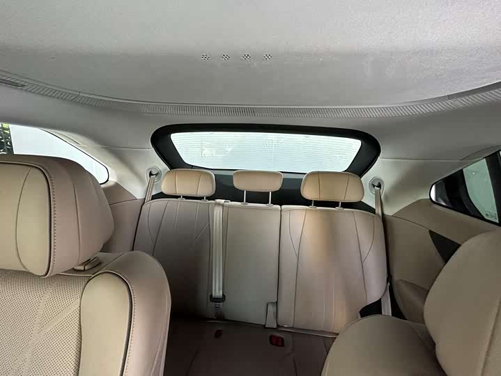 Фото 8 - XPeng X9