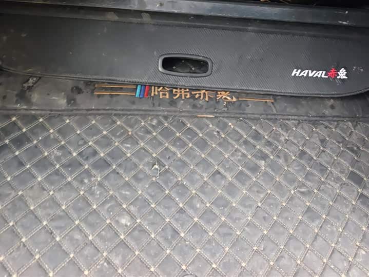 Фото 4 - Haval Chitu