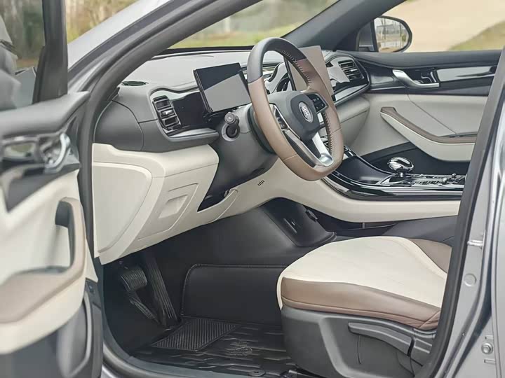 Фото 4 - BYD Qin Plus