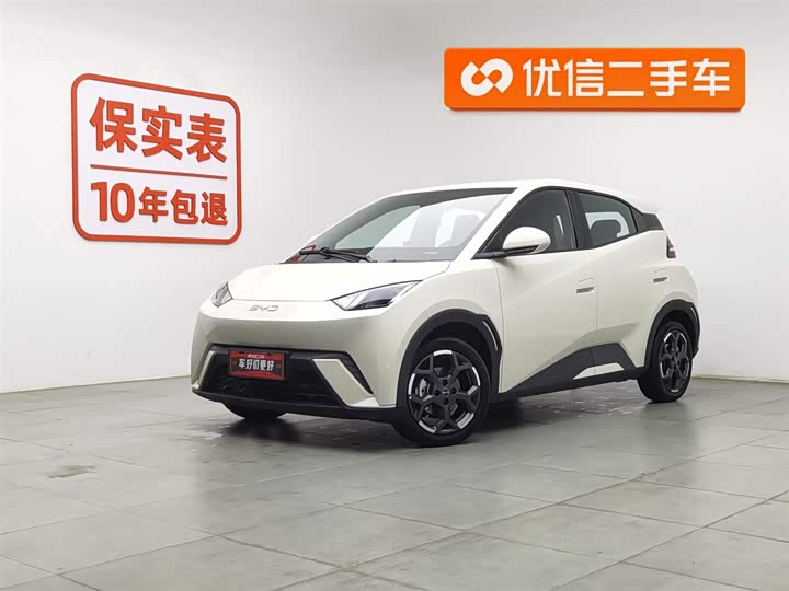 Фото 1 - BYD Seagull