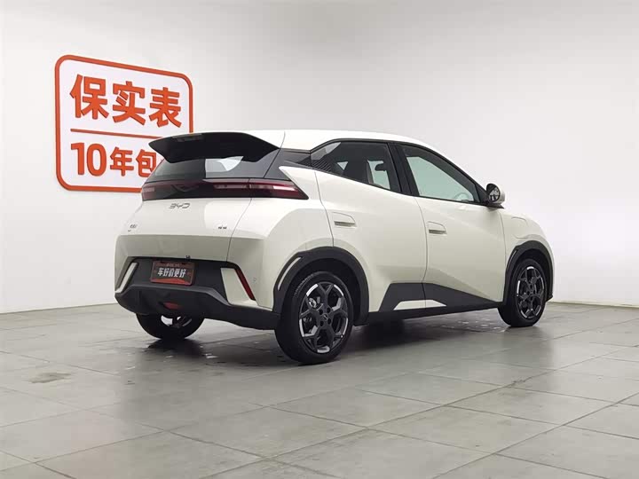 Фото 2 - BYD Seagull