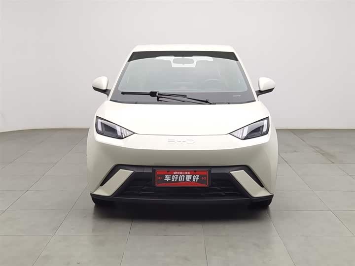 Фото 3 - BYD Seagull