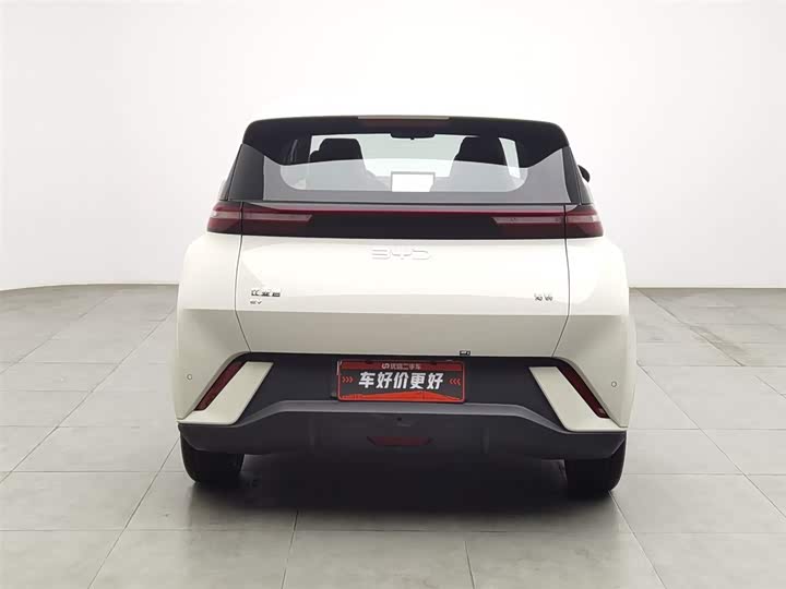 Фото 4 - BYD Seagull