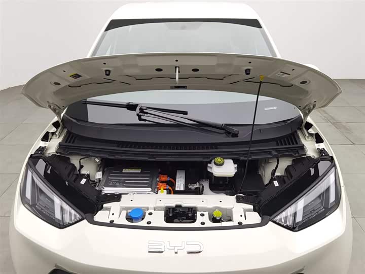 Фото 6 - BYD Seagull