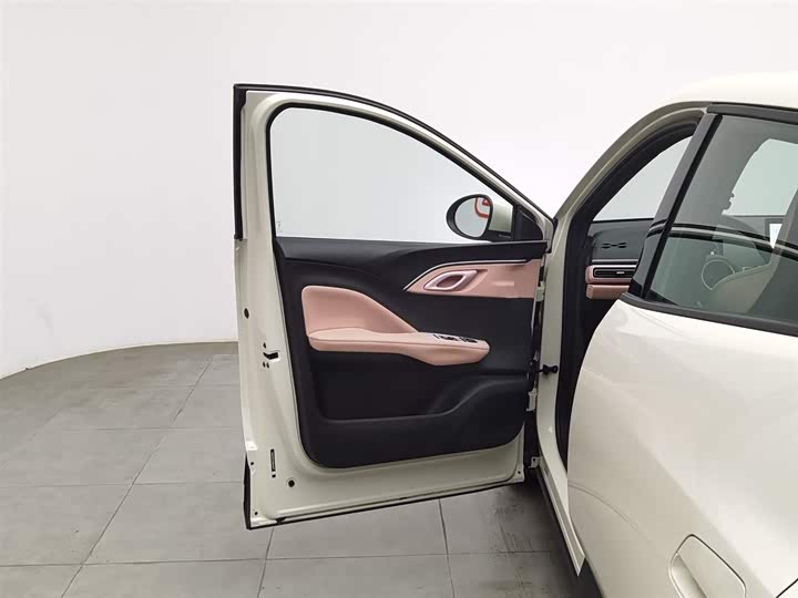 Фото 8 - BYD Seagull