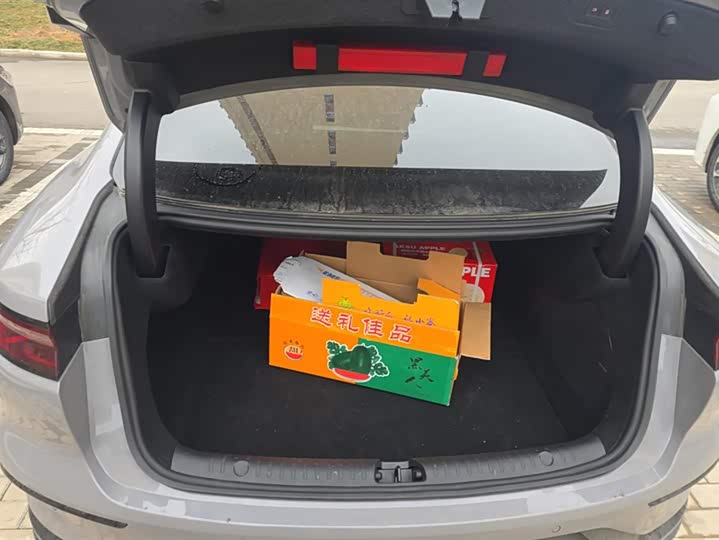 Фото 4 - BYD Han