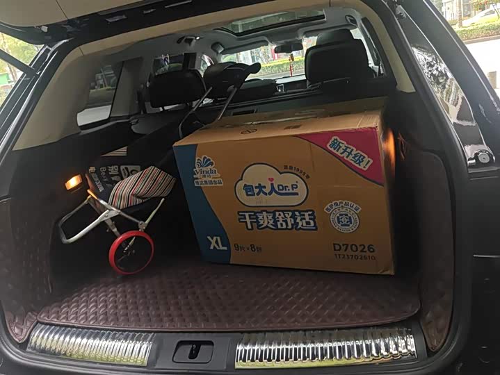 Фото 4 - Hongqi HS7