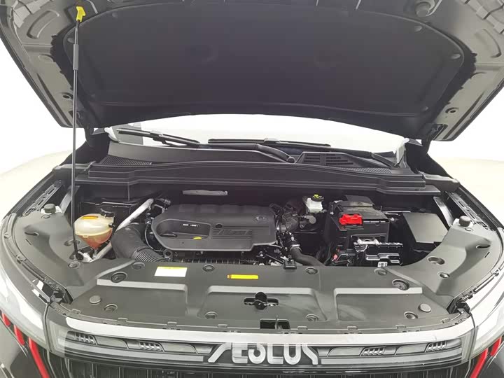 Фото 6 - Dongfeng Aeolus Haoji