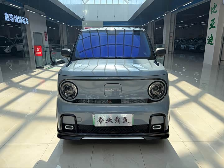 Фото 2 - Geely Galaxy Panda Mini