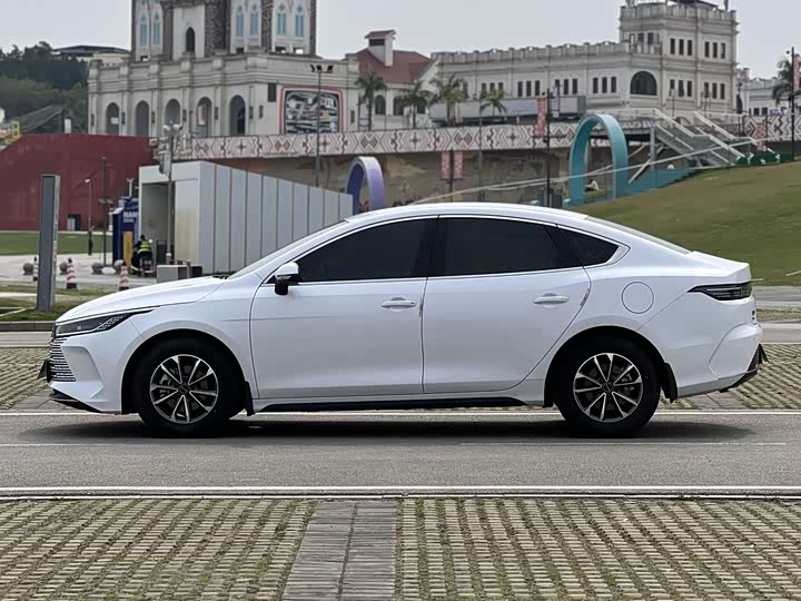 Фото 3 - BYD Destroyer 05