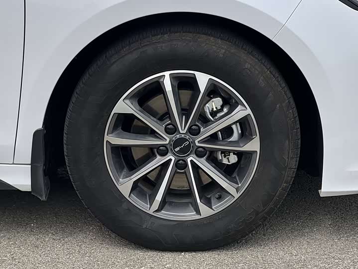 Фото 6 - BYD Destroyer 05