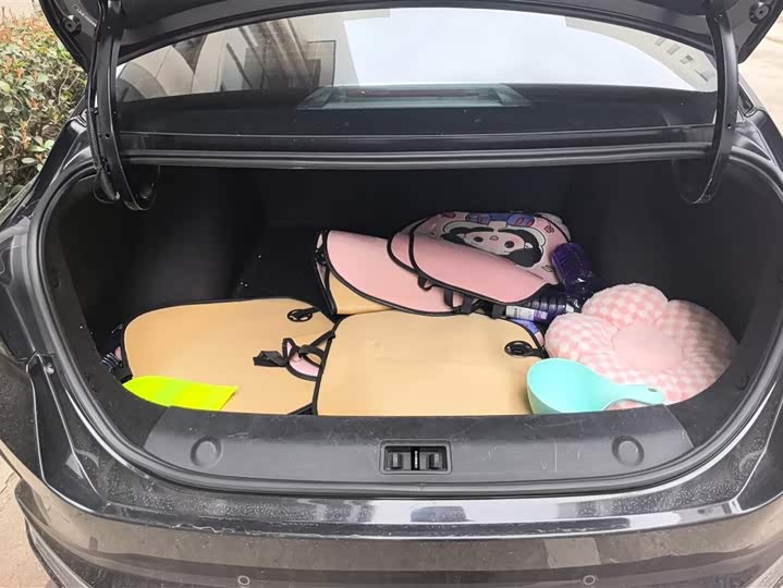 Фото 4 - Dongfeng Aeolus Yixuan Max