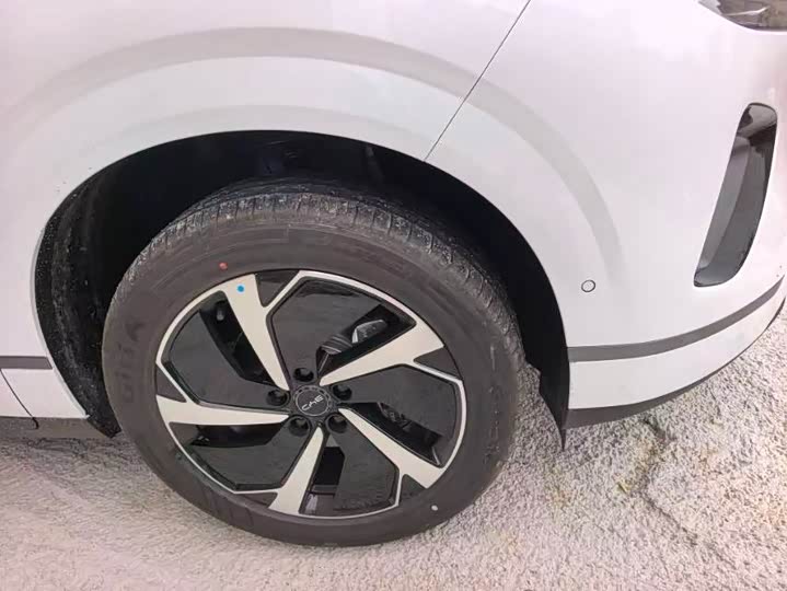 Фото 6 - BYD Sea Lion 06 Hybrid/EV