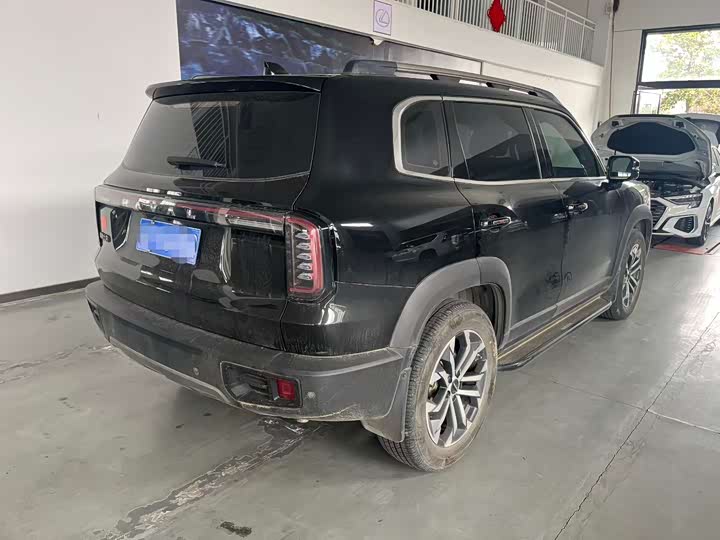 Фото 3 - Haval Dargo